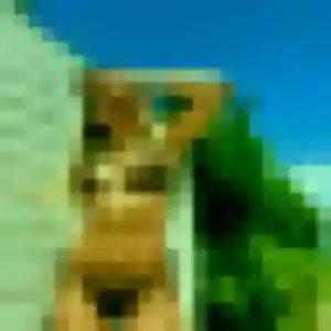 Photo perso de Anouk, 25 ans à Saint-Martin-d'Auxigny - rencontre coquine