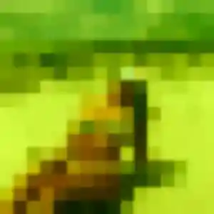 Ninon de Saint-Martin-le-Nœud, 24 ans - plan cul sans lendemain