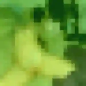 Salome, 36 ans, disponible à Saint-Martin-Longueau pour un plan cul