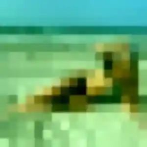 Photo perso de Thais, 22 ans à Saint-Martin-Longueau - plan discret