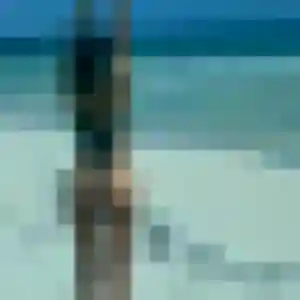 Profil de Isaure à Saint-Maximin (38 ans) - plan cul gratuit