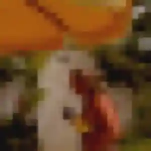 Sexy Safiya, 35 ans à Saint-Maximin - la contacter