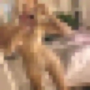Lina, 29 ans, connectée à Saint-Médard-en-Jalles pour une rencontre coquine