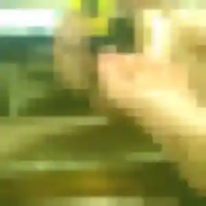 Romane (27 ans) à Saint-Nicolas-de-la-Taille attend une rencontre aujourd'hui