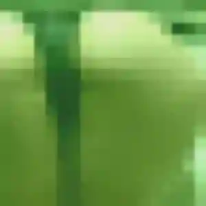 Profil de Charline à Saint-Ouen-du-Breuil (32 ans) - plan cul gratuit