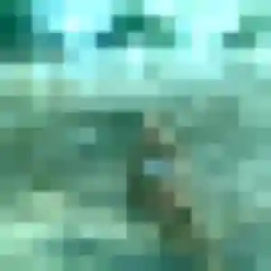 Rencontre Alya, 38 ans à Saint-Ouen-du-Tilleul en privé