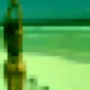 Photo perso de Roxane, 36 ans à Saint-Palais - plan discret