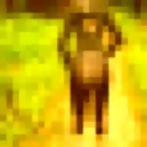 Découvre Eleonore, 21 ans à Saint-Pathus gratuitement