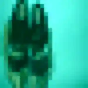Emna, 24 ans, cherche un plan cul à Saint-Paul-de-Varces