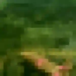 Rania, 27 ans, en ligne à Saint-Paul-du-Bois pour un plan cul