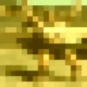 Soraya, 21 ans, cherche un plan cul à Saint-Philbert-des-Champs