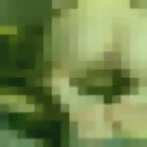 Photo de Meryem à Saint-Pierre-de-Bailleul (35 ans) - plan cul anonyme