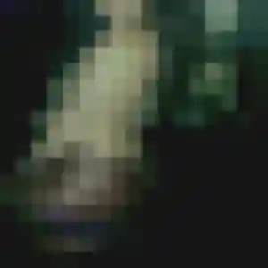 Profil de Albane à Saint-Pierre-de-Varengeville (22 ans) - plan cul anonyme