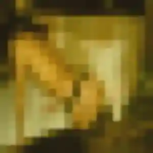 Honorine de Saint-Pierre-du-Bosguérard, 37 ans - plan cul sans lendemain