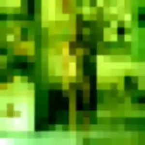 Rencontre Anouk, 35 ans à Saint-Pierre-du-Vauvray gratuitement