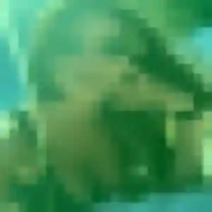 Rencontre Amandine, 33 ans à Saint-Pierre-es-Champs gratuitement