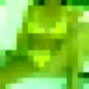 Celia de Saint-Pierre-es-Champs, 30 ans - plan cul sans prise de tête