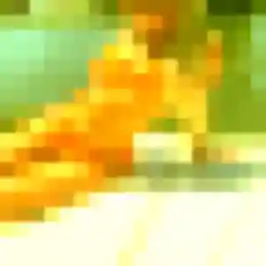 Photo exclusive de Naila, 19 ans à Saint-Pierre-es-Champs - rencontre coquine