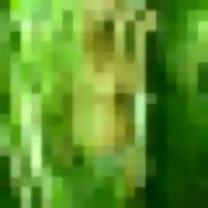 plan cul à Saint-Pierre-la-Cour : profil de Elina, 28 ans - sans engagement