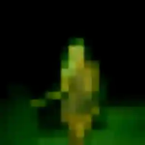 Cassandre, 28 ans, veut un plan cul à Saint-Pryvé-Saint-Mesmin