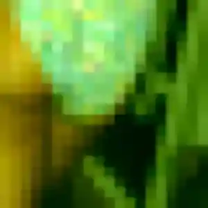 Constance de Saint-Pryvé-Saint-Mesmin, 20 ans - plan cul sans prise de tête