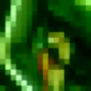 Découvre Lison, 26 ans à Saint-Python en privé