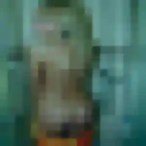 Sexy Anouk, 26 ans à Saint-Rémy-de-la-Vanne - découvrir son profil