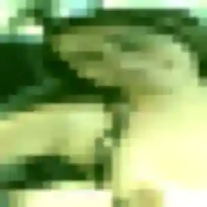 Charmante Salome, 35 ans à Saint-Riquier-ès-Plains - la contacter