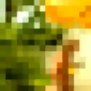 Safiya, 39 ans, dispo pour plan cul à Saint-Romain-de-Colbosc