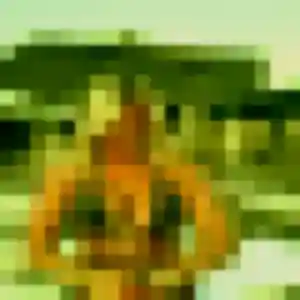 Photo perso de Anouk, 25 ans à Saint-Saëns - plan discret