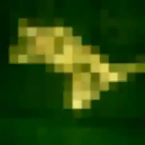 Safiya, 21 ans, dispo pour plan cul à Saint-Sauflieu