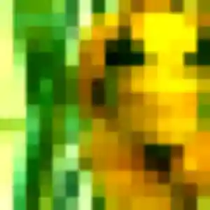 Faustine, femme de 22 ans propose plan cul à Saint-Saulve