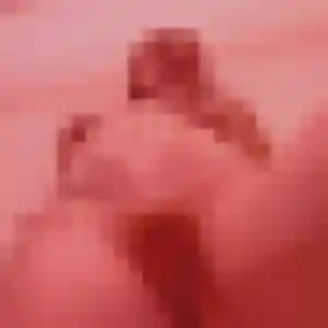 Jolie Sasha, 25 ans à Saint-Sauveur - découvrir son profil