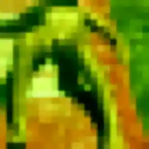 Mila, 31 ans, veut un plan cul à Saint-Sulpice-de-Pommeray