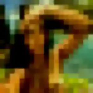 Sexy Prisca, 22 ans à Saint-Symphorien-d'Ancelles - la contacter