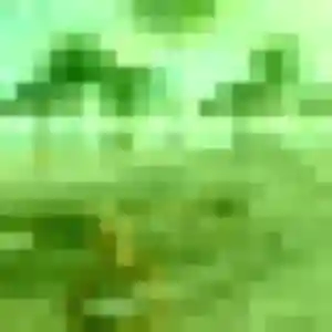 Rencontre Djenna, 39 ans à Saint-Valery-en-Caux gratuitement