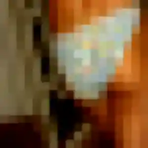 Photo de Constance à Saint-Vran (33 ans) - plan cul gratuit