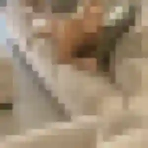 Belle Doriane, 19 ans à Sainte-Catherine - la contacter