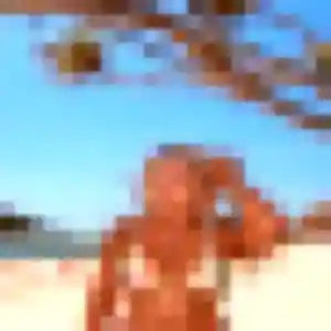 Photo de Solene à Sainte-Cécile (33 ans) - plan cul discret