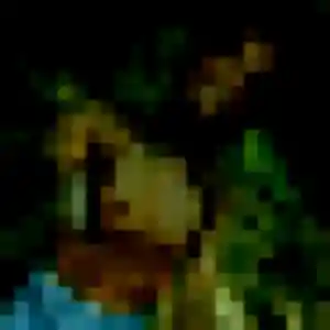 Photo sexy de Nolwenn, 25 ans à Sainte-Gauburge-Sainte-Colombe - rencontre sans lendemain