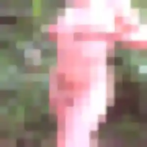 Sexy Roxane, 34 ans à Sainte-Lizaigne - découvrir son profil
