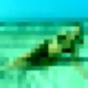 Heloise, 36 ans, veut un plan cul à Sainte-Marie-Cappel