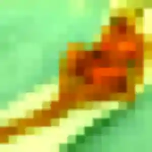 Photo privée de Syrine, 28 ans à Salency - rencontre sans lendemain