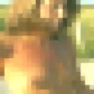 plan cul à Salies-de-Béarn : photo de Charlene, 21 ans - inscription gratuite