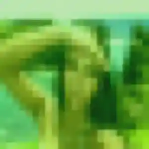 Photo de Justine à Salornay-sur-Guye (34 ans) - plan cul anonyme