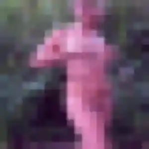 Syrine, fille de 37 ans veut plan cul à Saméon