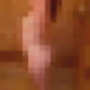 Profil de Capucine à Samoreau (19 ans) - plan cul anonyme