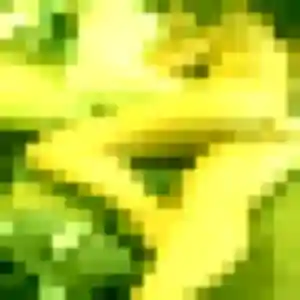 Eden, 35 ans, connectée à Sap-en-Auge pour une rencontre coquine