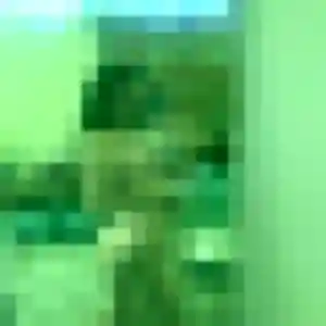 Rencontre Enora, 32 ans à Sap-en-Auge gratuitement