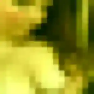 Solene, 36 ans, veut un plan cul à Sarceaux